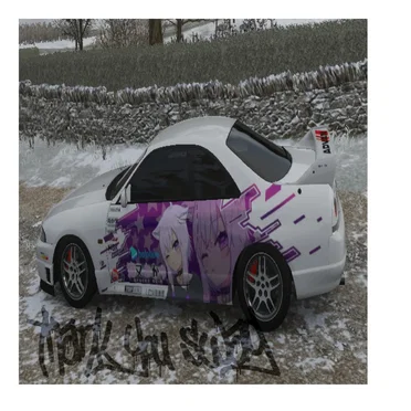 I think my whip is suicidal