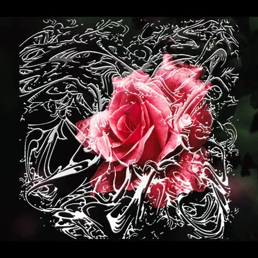 In Repose by Mξɴ‡y - album cover
