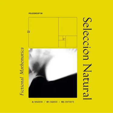 Fictional Mathematics EP by Selección Natural - album cover