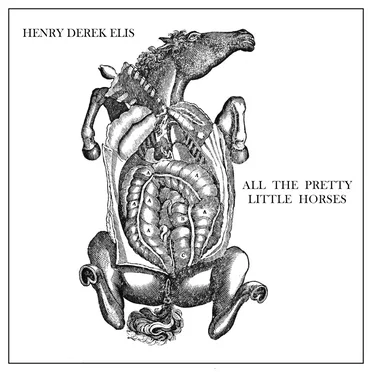 All the Pretty Little Horses