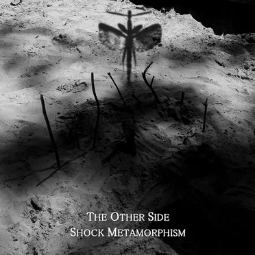 The Other Side by Shock Metamorphism - album cover