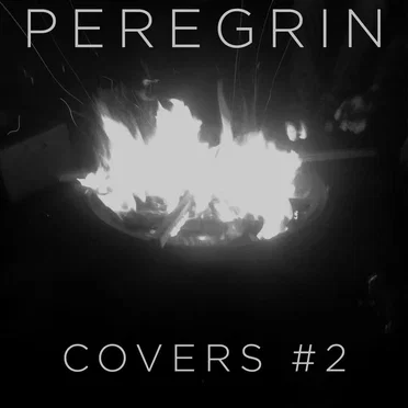 Covers #2 by Peregrin - album cover