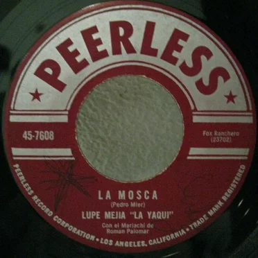 La mosca / La enterradora