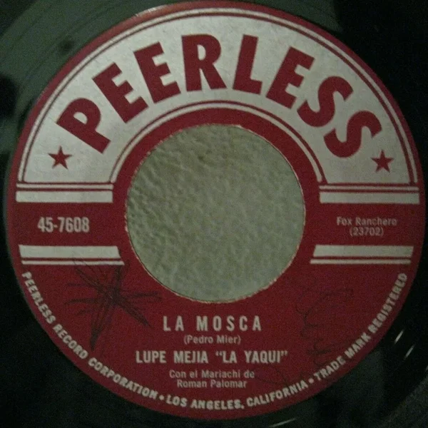 La mosca / La enterradora