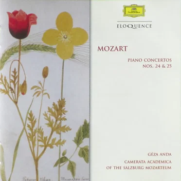 Piano Concertos nos. 24 & 25