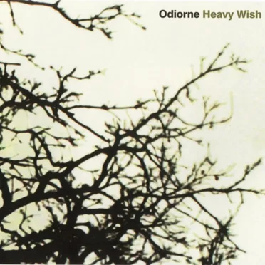 Heavy Wish