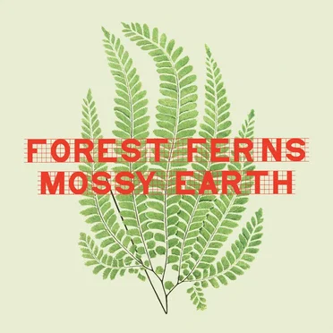 Forest Ferns Mossy Earth