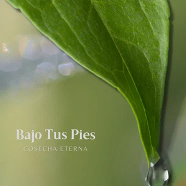Bajo Tus Pies