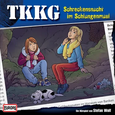 TKKG 144: Schreckensnacht im Schlangenmaul by Stefan Wolf - album cover