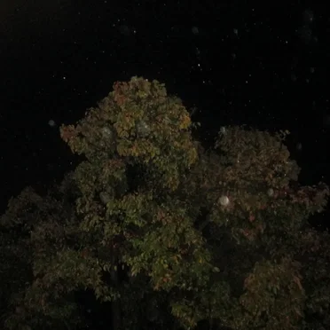 November Night Storm