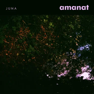 Amanat by Juna - album cover