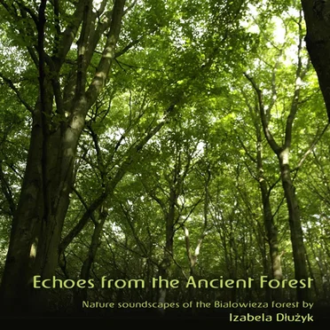 Echoes From the Ancient Forest by Izabela Dłużyk - album cover