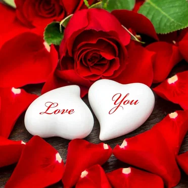 Slow Love