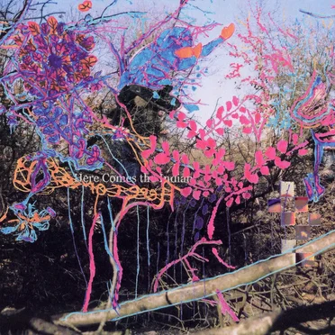 Here Comes the Indian