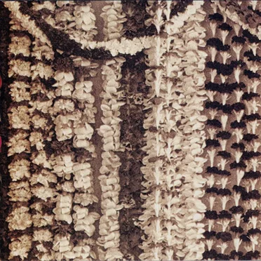 Lei Haliʻa by Kealiʻi Reichel - album cover