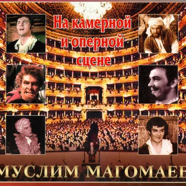 На камерной и оперной сцене