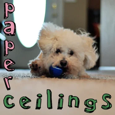 Paper Ceilings by Paper Ceilings - album cover