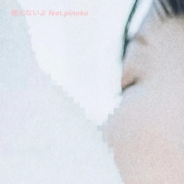 嫌えないよ