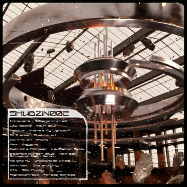 SHUBZINVA002 by Various Artists - album cover