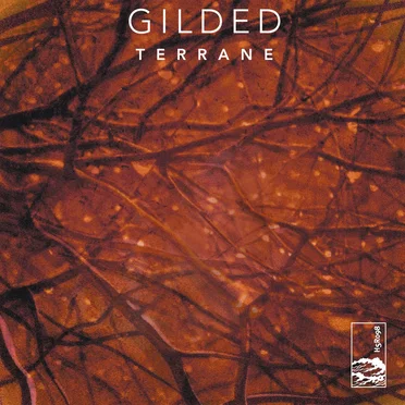 Terrane by Gilded - album cover