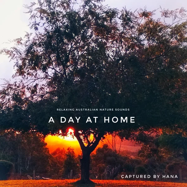 Sounds From Home