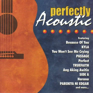 Perfectly Acoustic by Various Artists - album cover
