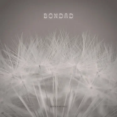 Bondad