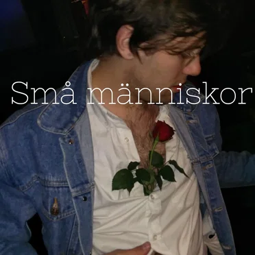 Små människor by Dagensnyheterna - album cover