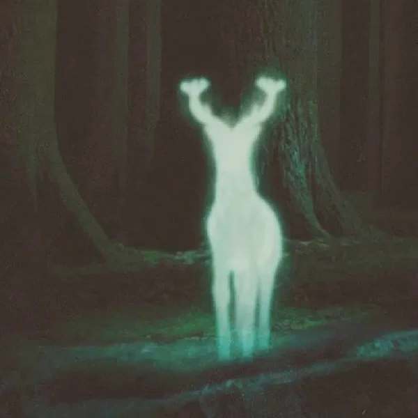 Shelter EP