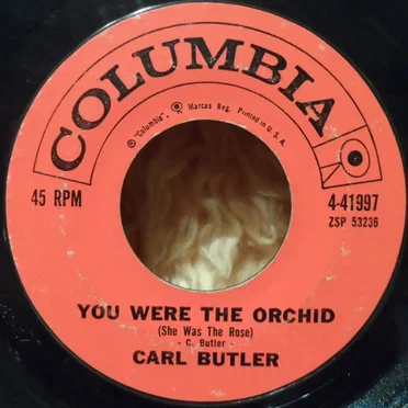 You Were the Orchid (She Was the Rose)