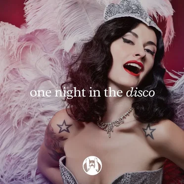 One Night in the Disco (Original Mix)
