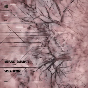 Saturate (Visla remix)