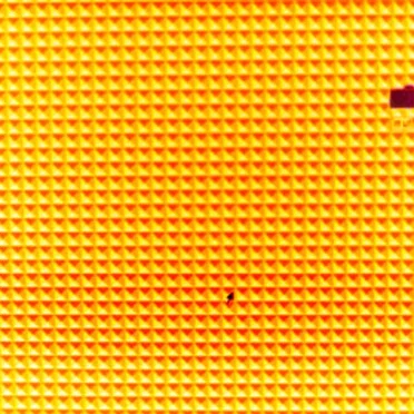 Il pixel innamorato