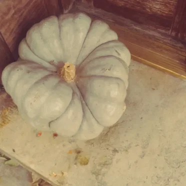 The Second Floor Is Vacant