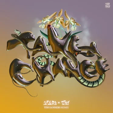 Take a Chance (Tim Sanders remix)