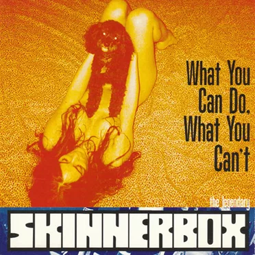 What You Can Do, What You Can't by Skinnerbox - album cover