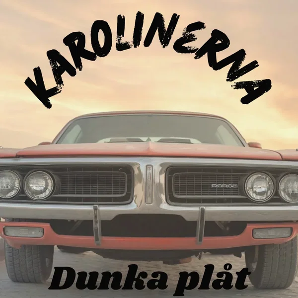Dunka plåt