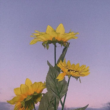 Die to Know Yourself by Vague Topic - album cover