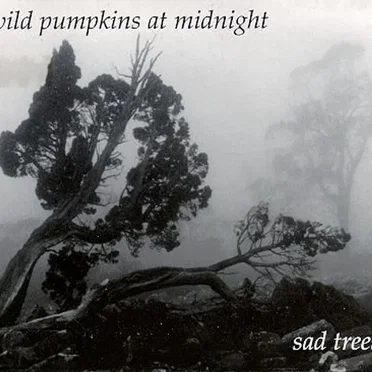 Sad Trees by Wild Pumpkins at Midnight - album cover