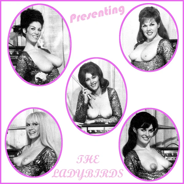 Presenting... The Ladybirds!