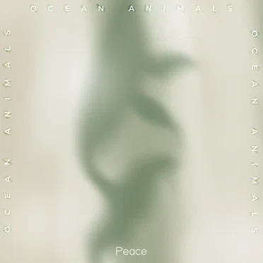 Ocean Animals