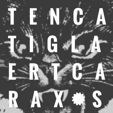 Ten Tiger Trax LP by calacas - album cover
