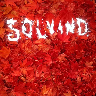 Sundance Kids by Solvind - album cover
