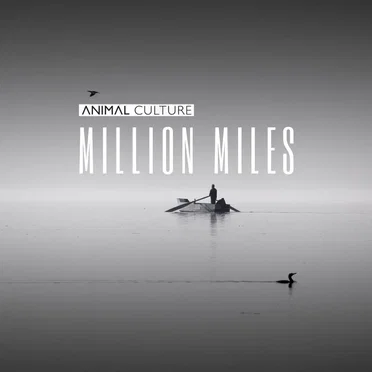 Million Miles by Animal Culture - album cover