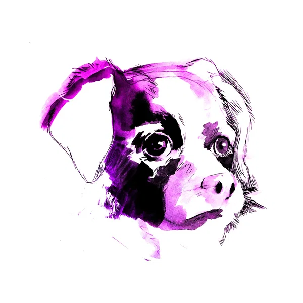 Doggy Fun (I love you doggy)