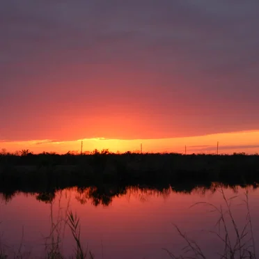 That Sanguine Light of November