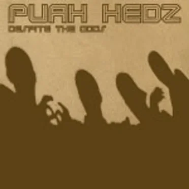 Despite the Odds by Puah Hedz - album cover
