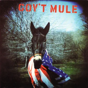 Gov’t Mule
