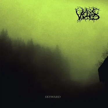 Skyward by Veldes - album cover