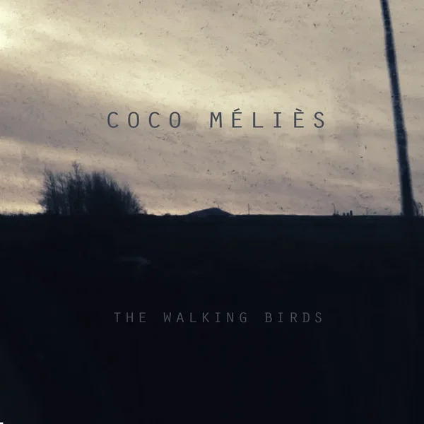 The Walking Birds